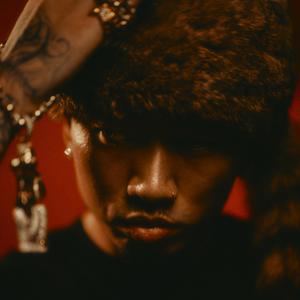 欧美一区一区 二区无码少妇
